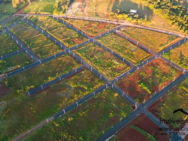 #203 - Terreno para Venda em Cascavel - PR - 1