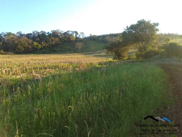 #299 - Chácara para Venda em Cascavel - PR