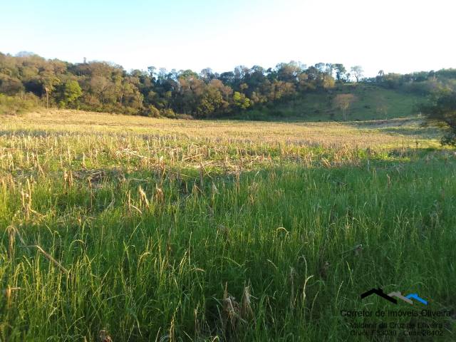 #299 - Chácara para Venda em Cascavel - PR - 3